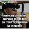 vega_oscar24